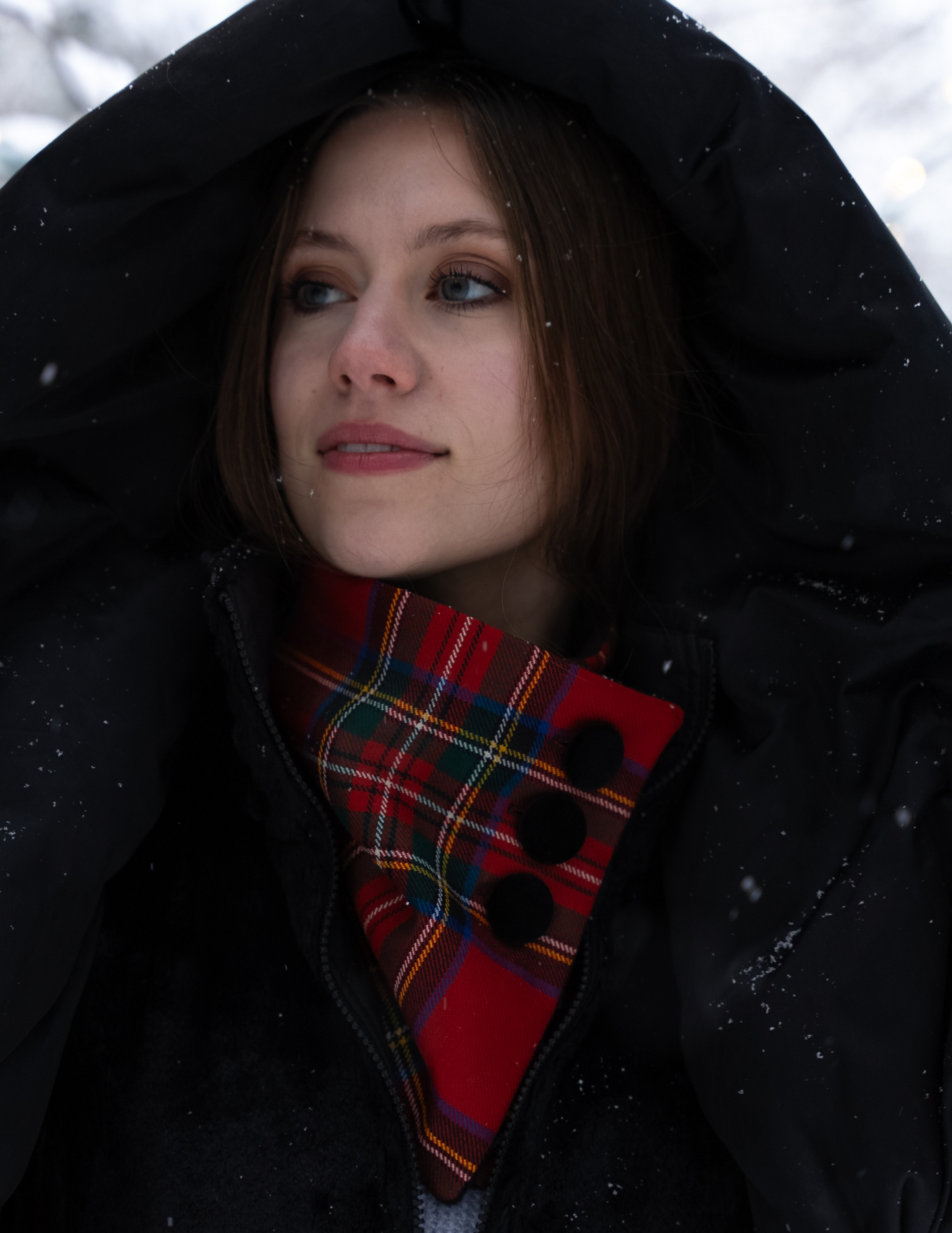 Christmas Classic Tartan Neck Warmer Scarf - Stewart Royal Modern