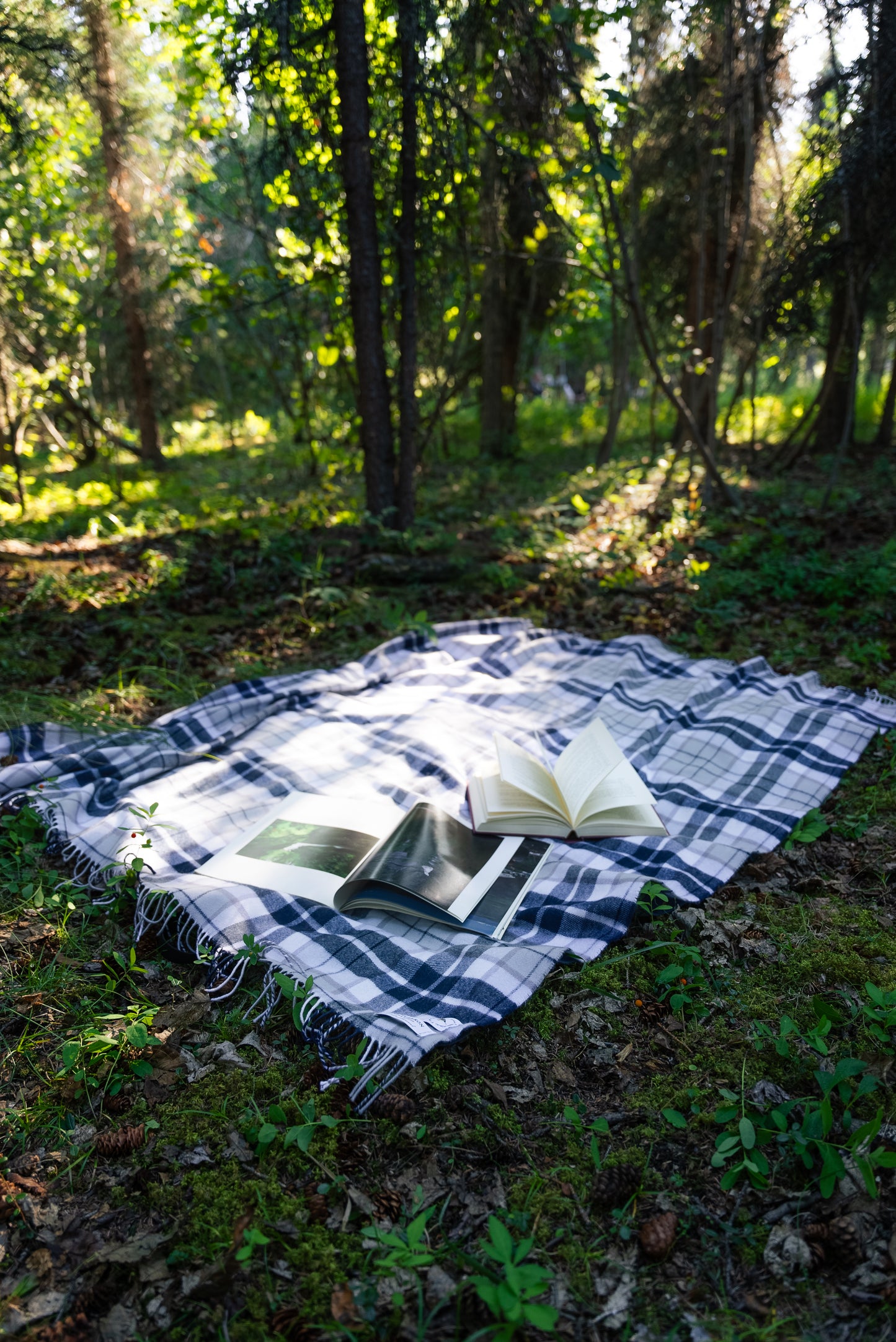 Arctic BlueBerry Tartan Lap Blanket