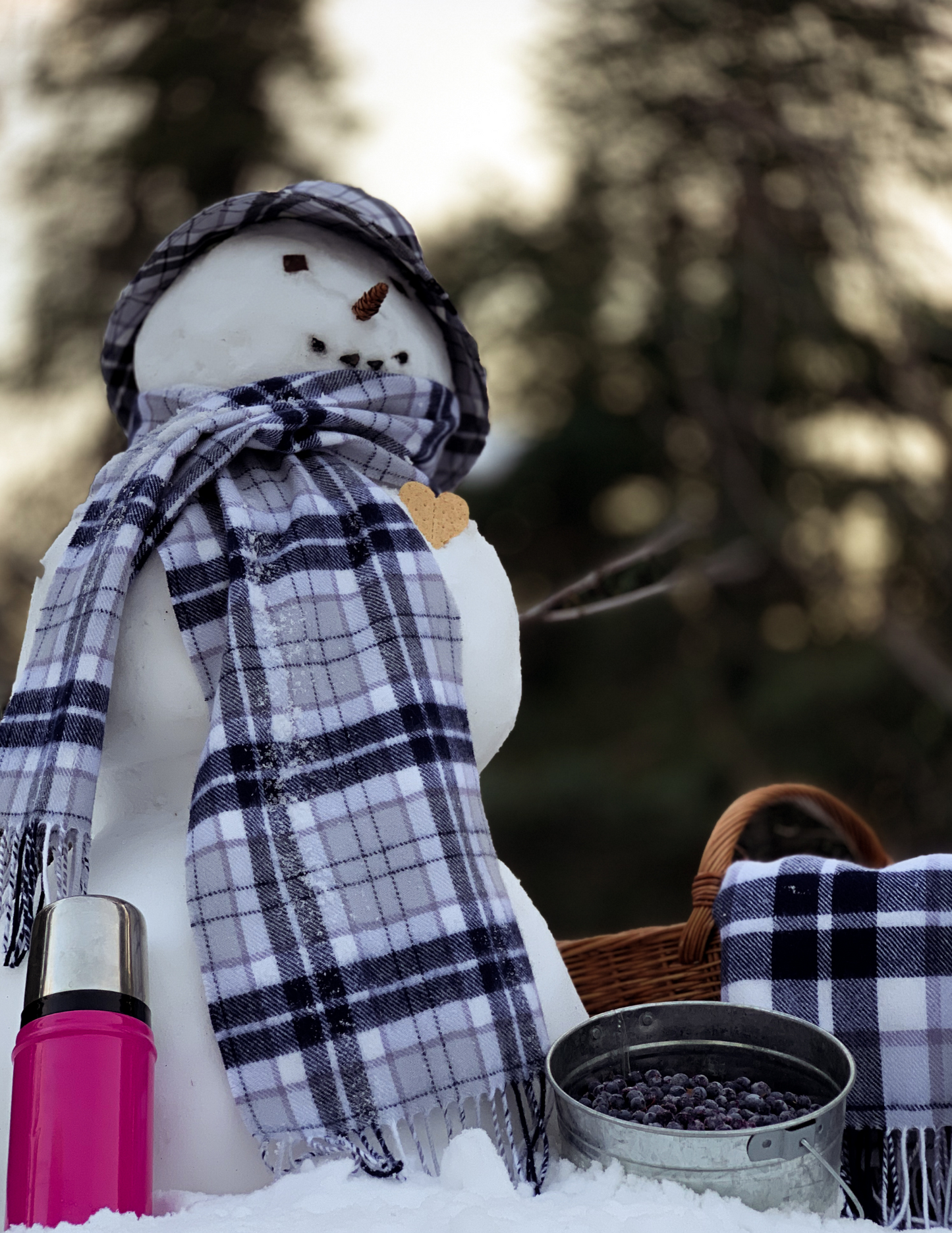 Arctic BlueBerry Tartan Scarf