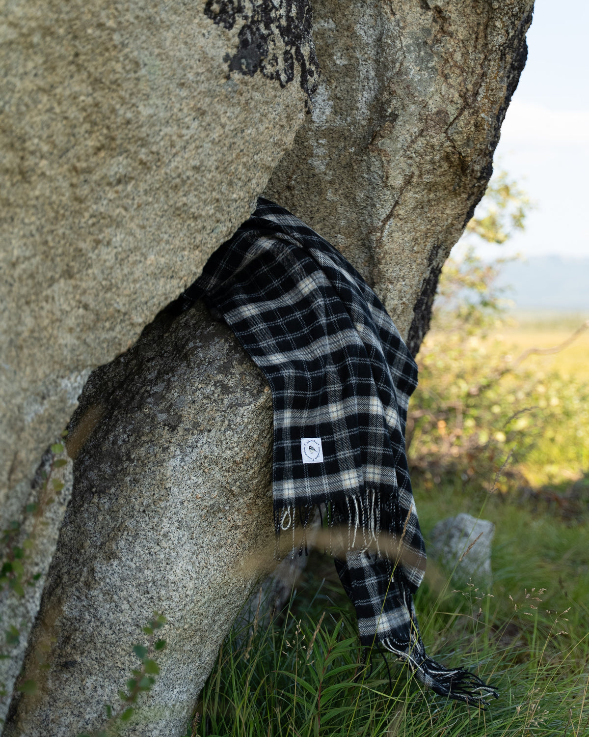 Black-Capped Chickadee Tartan Lap Blanket