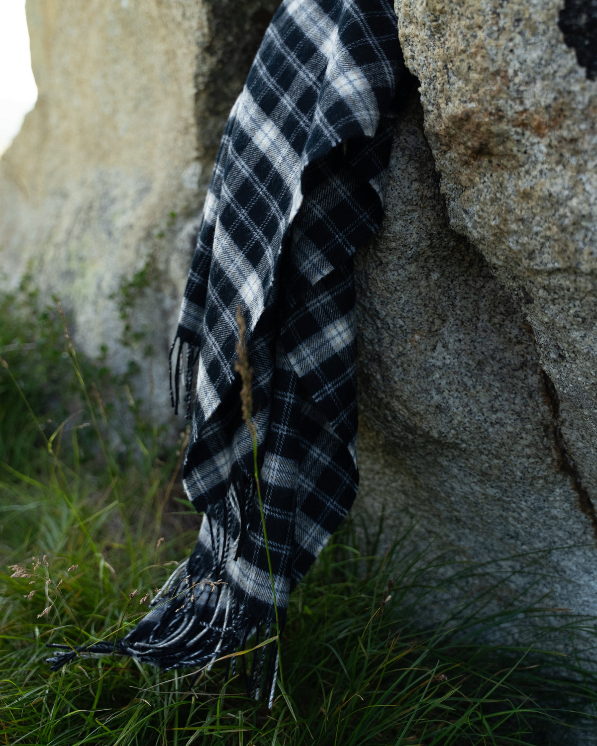Black-Capped Chickadee Tartan Lap Blanket