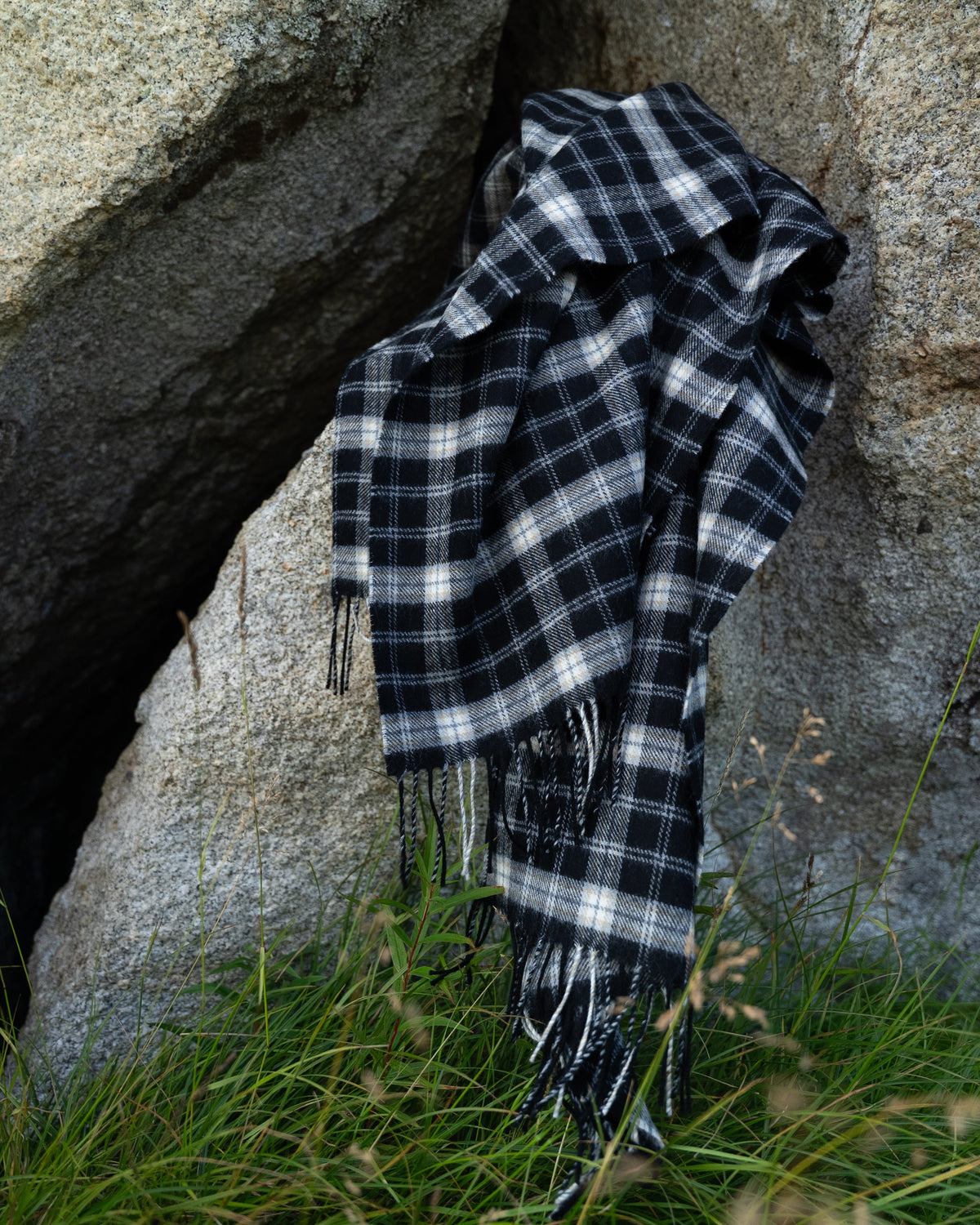 Black-Capped Chickadee Tartan Lap Blanket