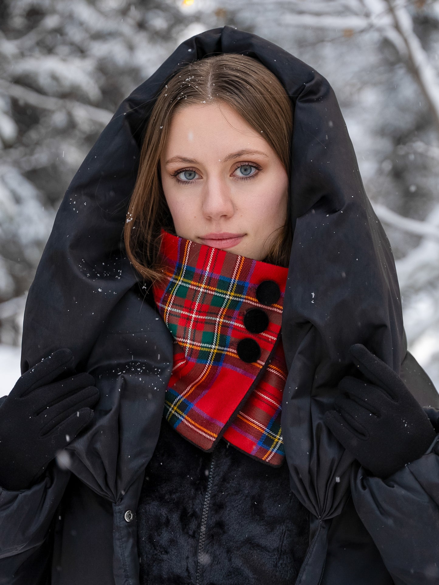 Holiday Gift Box - Stewart Royal Modern Tartan (Plaid)